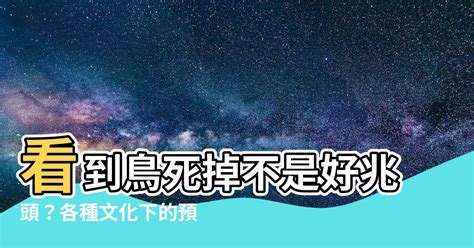 一直看到死掉的鳥|【看到鳥死掉】看到鳥死掉不是好兆頭？各種文化下的。